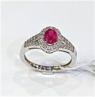 Ringe Davite & Delucchi Dame in Weißgold Rubino 0.60 Ct AA 030080 RBS - AA 030080 RBS